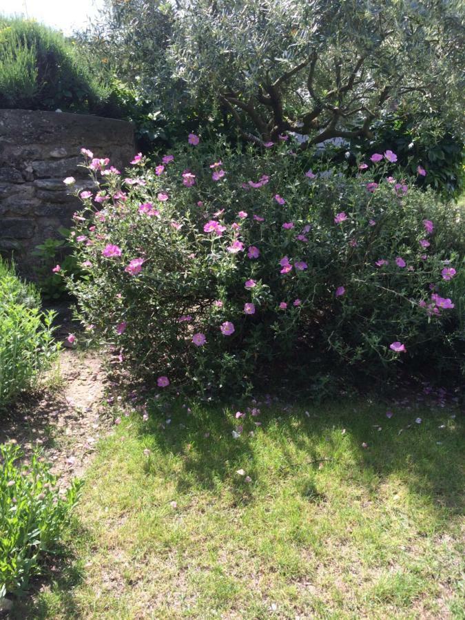 Le Mazet Des Joncs En Provence Villa Saint-Pierre-de-Vassols Eksteriør bilde