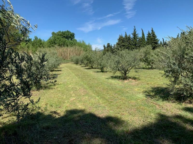 Le Mazet Des Joncs En Provence Villa Saint-Pierre-de-Vassols Eksteriør bilde